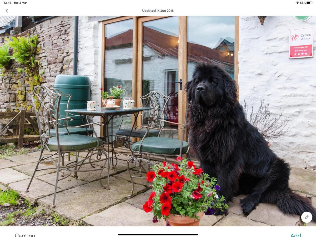 Ty Fferm Hen, Ancient Farmhouse, Coity Bach Talybont-on-Usk Luaran gambar
